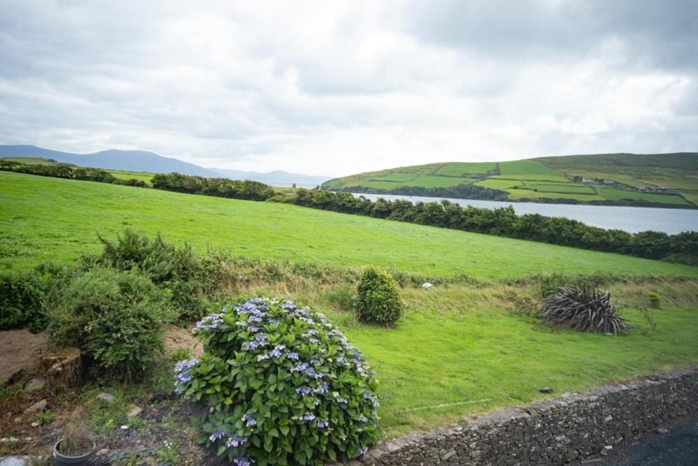 Half Door House Hotell Dingle Exteriör bild