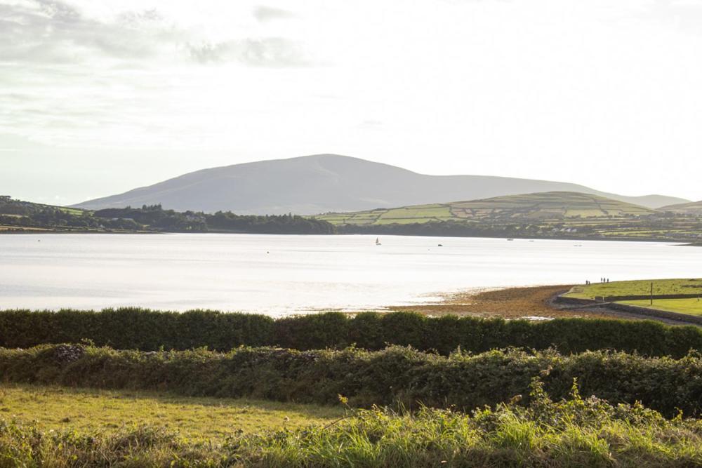 Half Door House Hotell Dingle Exteriör bild